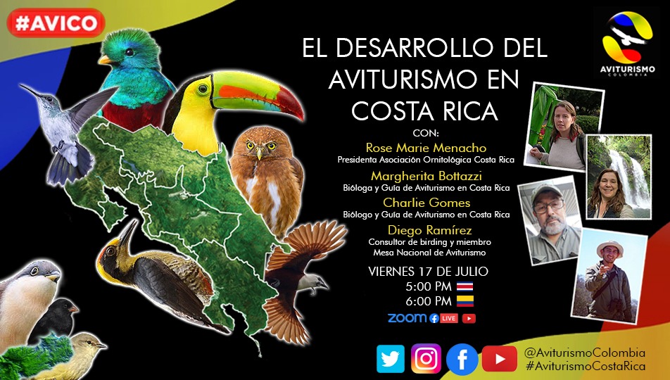 Hablemos sobre el desarrollo del Aviturismo en Costa Rica
youtu.be/hgu9ufLN6io