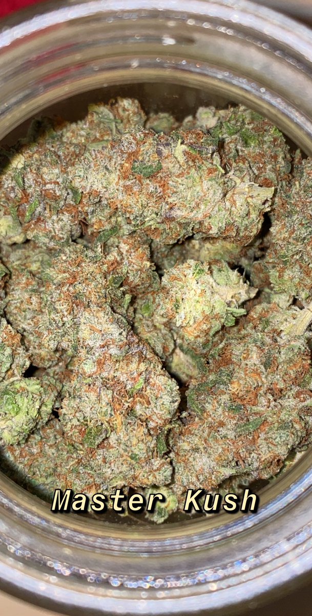 EZ7King420's tweet photo. Also got some #potporn for everyone to see π Some bomb ass #MasterKush and #Zerbert https://t.co/xBZCrCgLD0