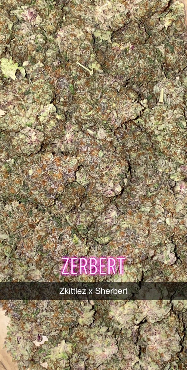 EZ7King420's tweet photo. Also got some #potporn for everyone to see π Some bomb ass #MasterKush and #Zerbert https://t.co/xBZCrCgLD0
