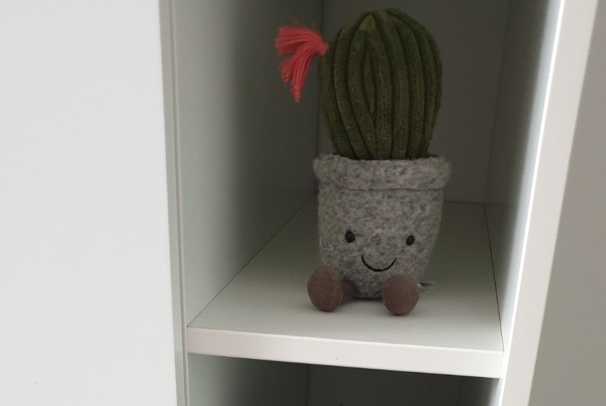 paradrawmal's tweet photo. @AvadaEdavra 10/10. Would recommend. Die Plushies sind so süß 🤩 https://t.co/ASGpzCCLGr