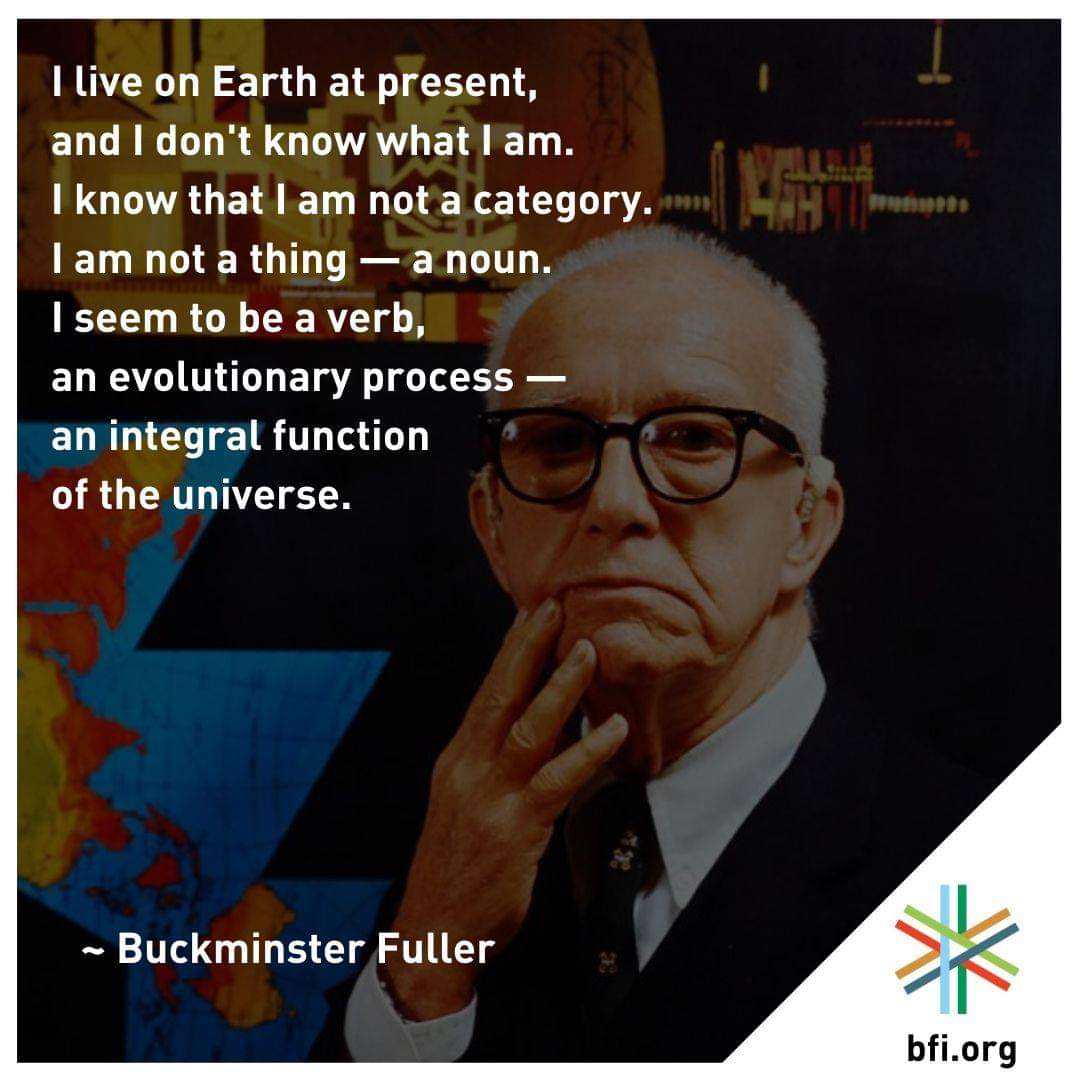 Lisa Sul tweet media