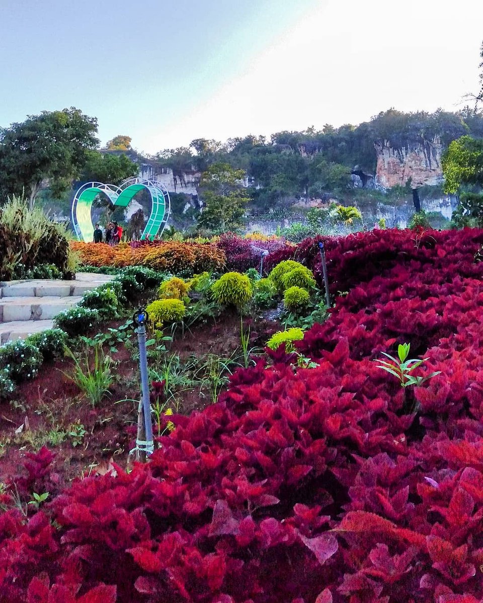 gresikNEWS's tweet photo. Jangan menunggu seseorang untuk membawakanmu bunga. Tanami sendiri tamanmu dan hiaslah jiwamu. (Luther Burbank)

Foto: @fachriabillah30_ 
Lokasi: Wagos, Wisata alam Gosari, kecamatan Ujungpangkah

#renunganpagi #gresiknews #wagos #gresikpagi #panoramagresik #wisatagresik https://t.co/spBK3rHrgR