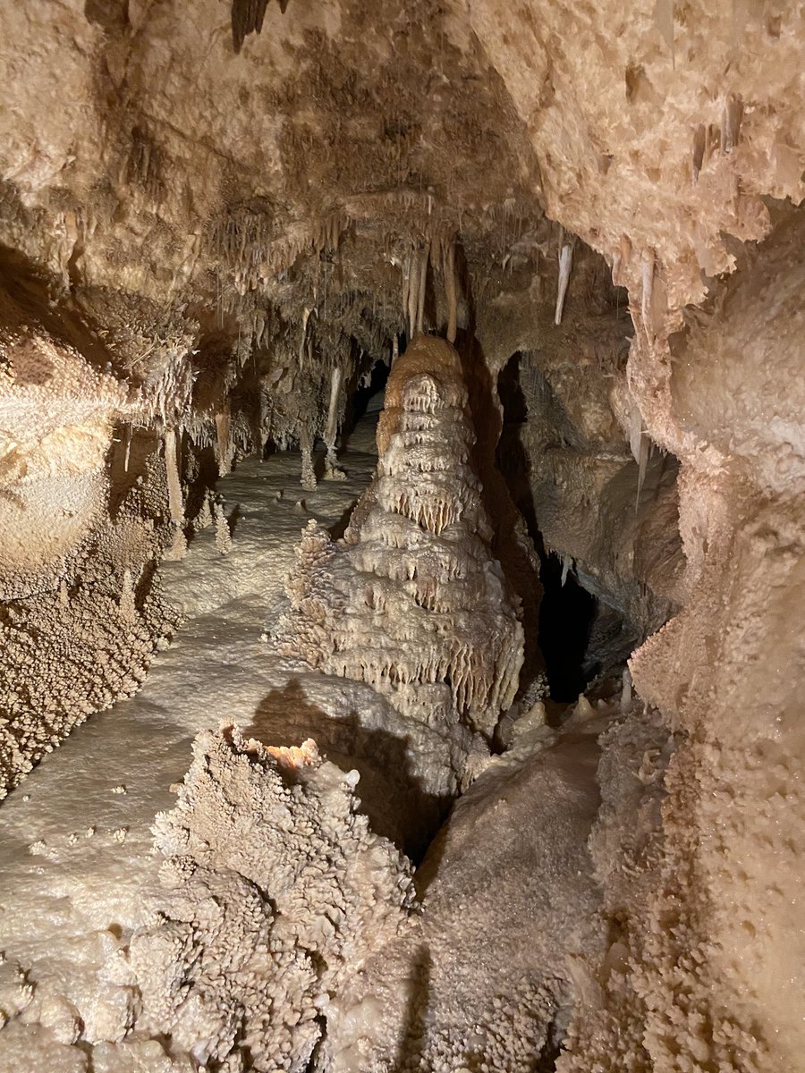 MrsNealscience's tweet photo. This past week, I had the chance to visit the Sonora Caverns. It was amazing to see. I would love to go on a field trip with my students. #owlstrive4greatness #ecisdSciencerocks https://t.co/GG1PhqvSGG