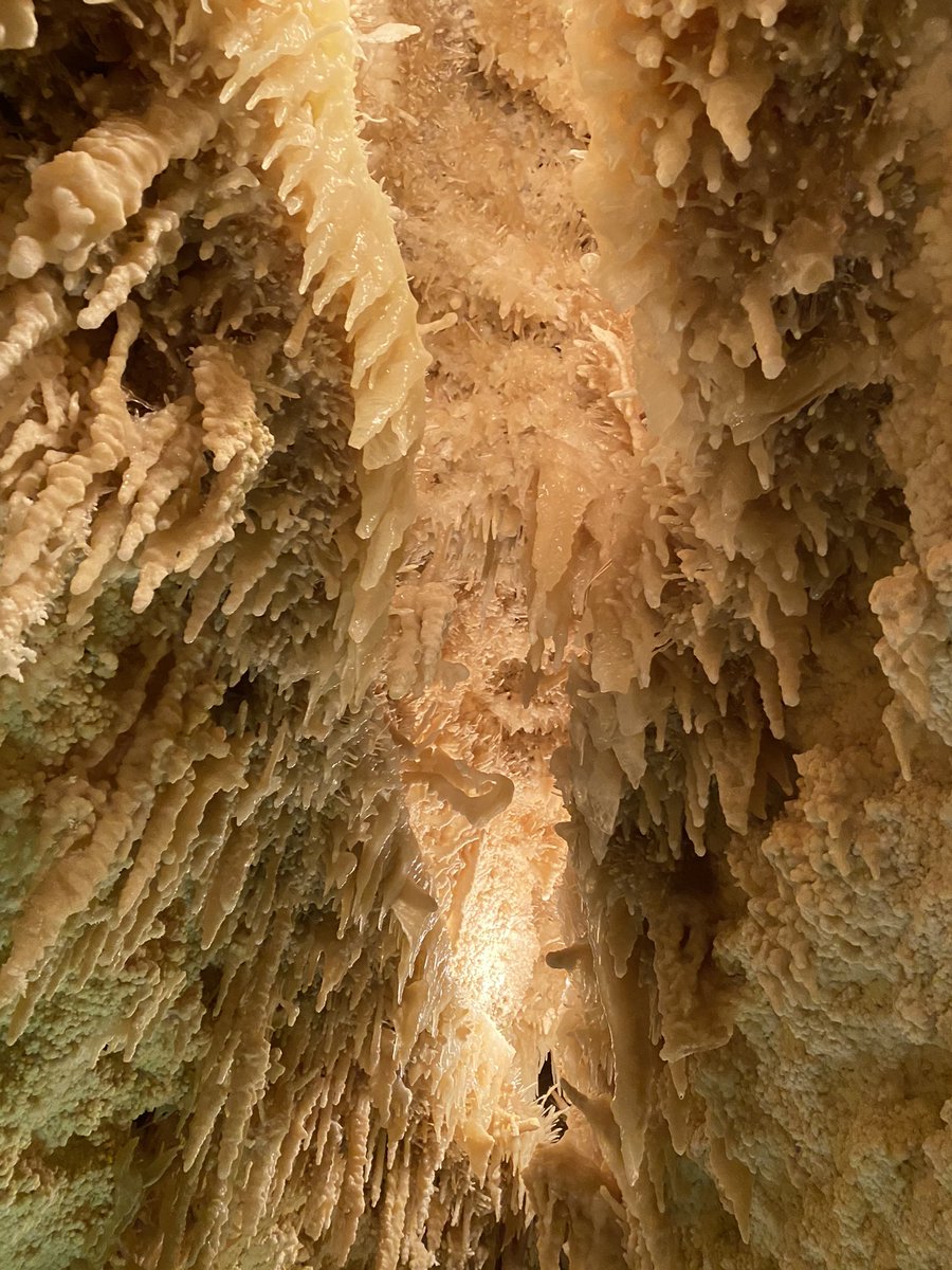 MrsNealscience's tweet photo. This past week, I had the chance to visit the Sonora Caverns. It was amazing to see. I would love to go on a field trip with my students. #owlstrive4greatness #ecisdSciencerocks https://t.co/GG1PhqvSGG