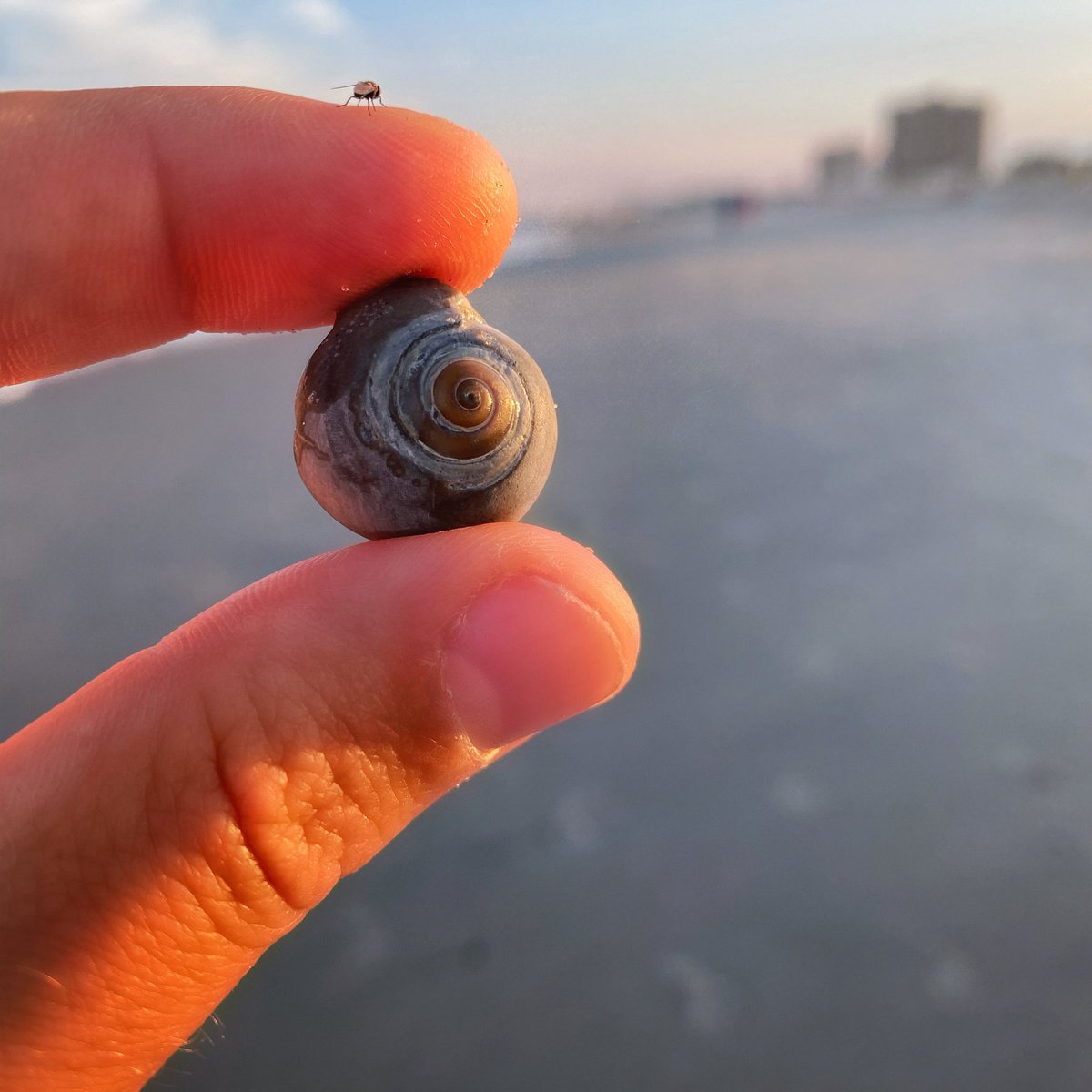 The Circle of Life ⭕️ 

"Our task must be to free ourselves by widening our circle of compassion to embrace all living creatures and the whole of nature and its beauty." - #AlbertEinstein 💫

#beauty #quotes #whole #selfcare