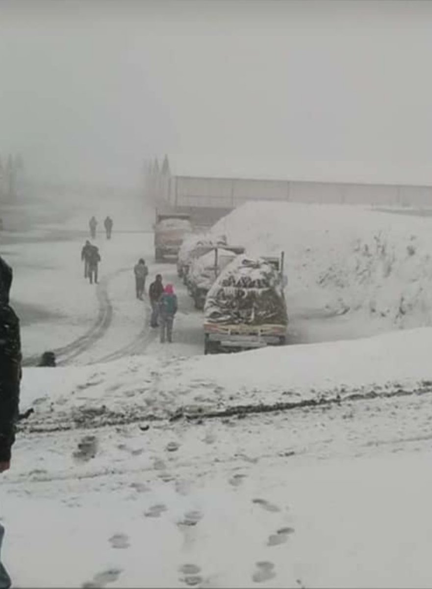 Acabo de recibir esta impresionante gráfica en mi WhatsApp, me la envía un colega, y me dice que así amaneció el Collado del Cóndor. Y me aclara, no es Suiza Borrelli, estamos en el estado Mérida. Aplauso de pie y Felicitaciones para el autor de la fotografía.  Viva Venezuela.