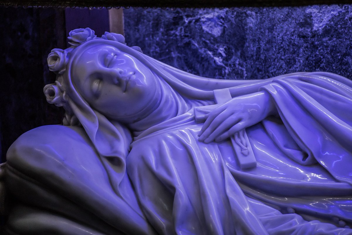 Timmerie's tweet photo. What can we learn from 16 women who were martyred for their faith?  
Discussing now, with @FrTimGrumbach
https://t.co/6a3TNpp1Mf 🎧
Call: 888-914-9149 https://t.co/yAQ8wF6Gyy