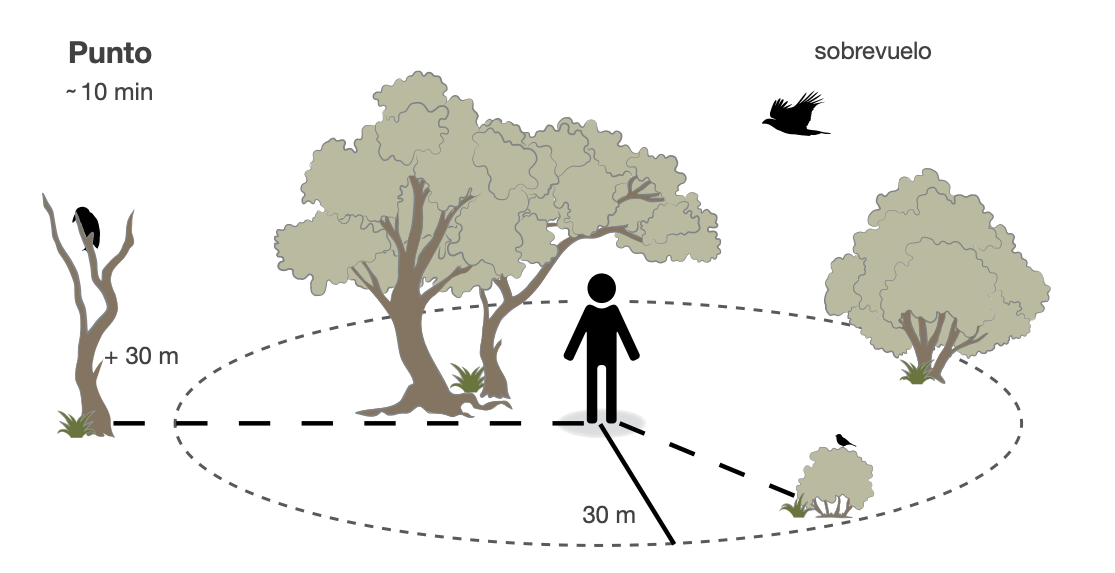 CONABIO's tweet photo. Tenemos el gusto de compartirles la nueva publicación de CONABIO, preparado en colaboración con el Lab de Ornitología de Cornell. 
proAlas: Programa de América Latina para las Aves Silvestres. 
Descarga gratis el archivo en PDF en: https://t.co/WpRwz1VUGE https://t.co/Gcixjn4NoZ