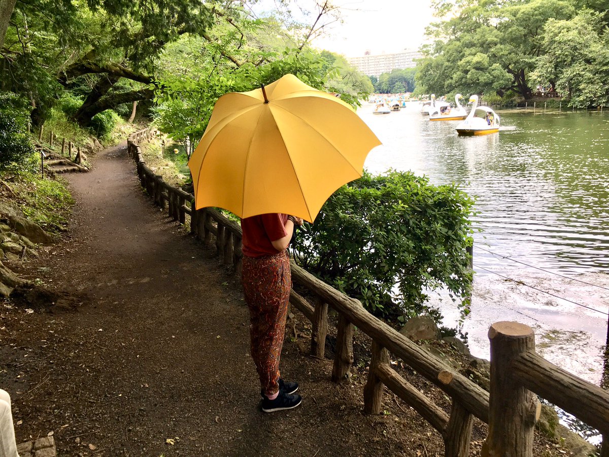 ディチェザレデザイン パンプキン型 日傘 ディチェザレデザイン パンプキン型 日傘 楽天市場】ディチェザレ