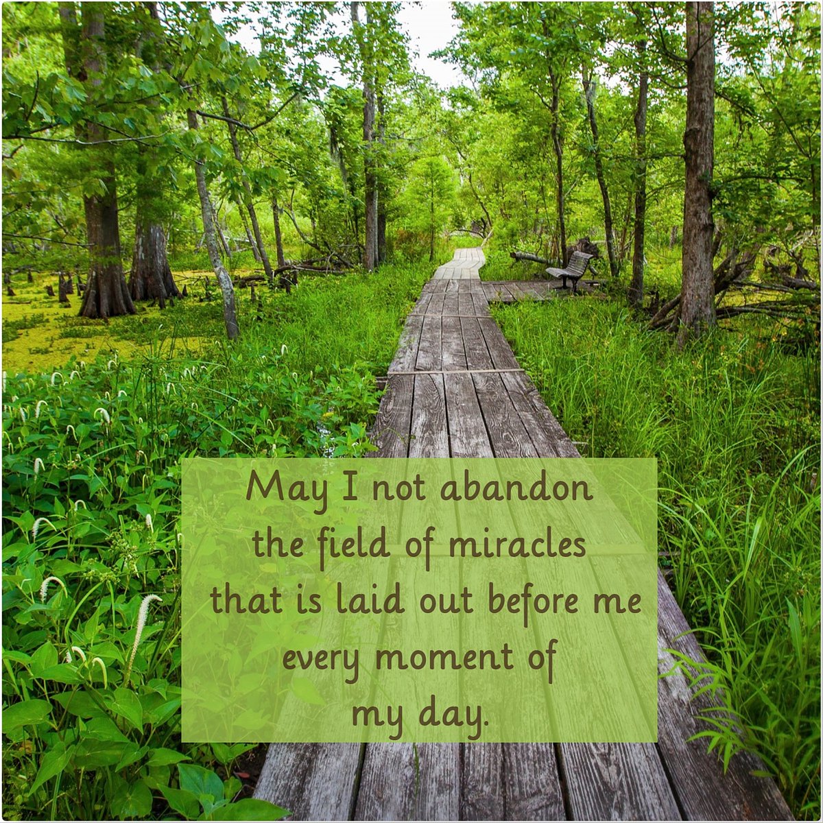 tapestry_intl's tweet photo. Jean Lafitte National Historical Park and Preserve, Jefferson Parish, Louisiana
📖 Quote from A Year of Miracles by @mariannewilliamson
#quote #prayer #MarianneWilliamson #photography #JeanLafitteHistoricalPark #JeffersonParish #Louisiana https://t.co/Jo6aLymvsU