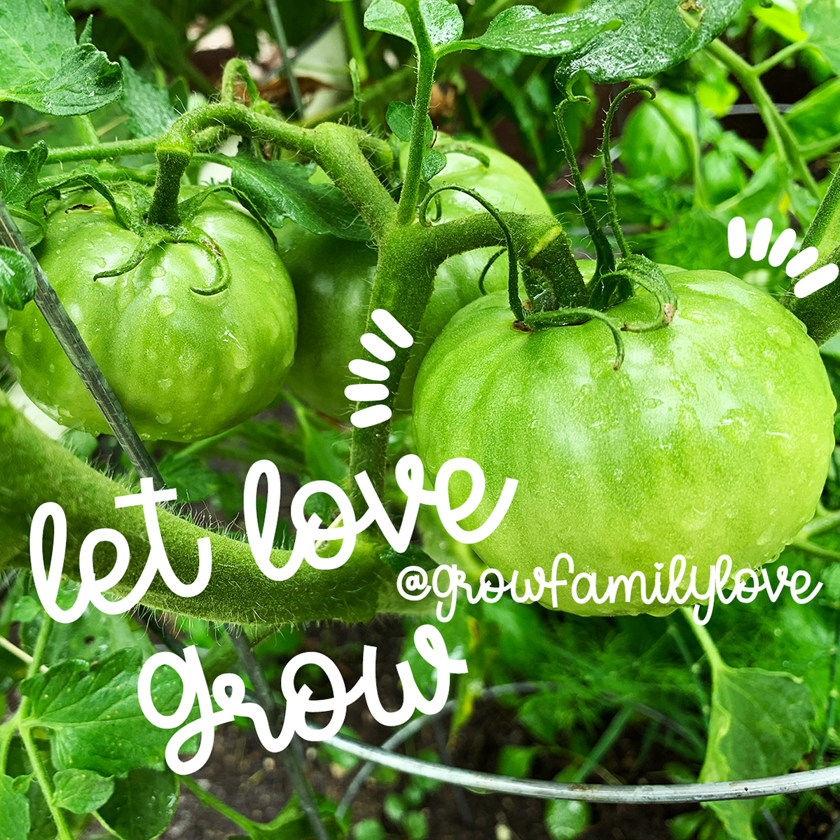 Grow Family Love (@growfamilylove) / Posts / X