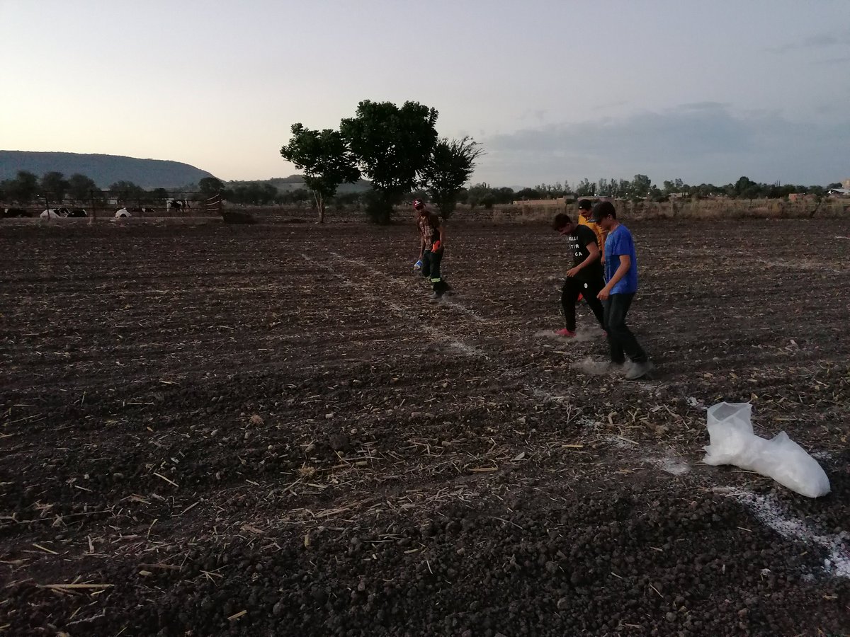 xochicentli's tweet photo. Establecimiento de dos ensayos de validación y calibración del sensor greenseeker en los municipios de Ocotlán y zapotlan del rey, jalisco @xochicentli @perezgomezjesus @Hub_INGP @Gabriel_Escobedo https://t.co/2aKtdr6UCQ