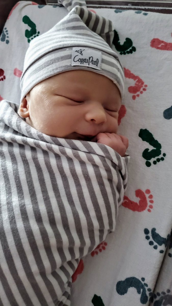 Taylor Nystrom (Marble) tweet media