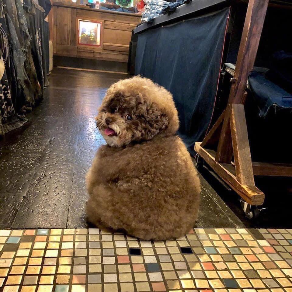 Noppakrist's tweet photo. https://t.co/wxqwzg0nmo