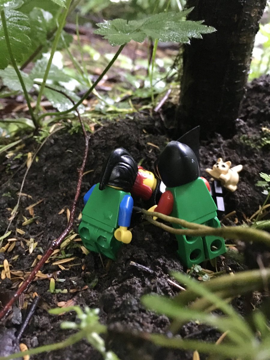 Flyingcloudkity's tweet photo. #CatkinsAdventures series 3 Part 6/6 https://t.co/XDXHR7oxFD