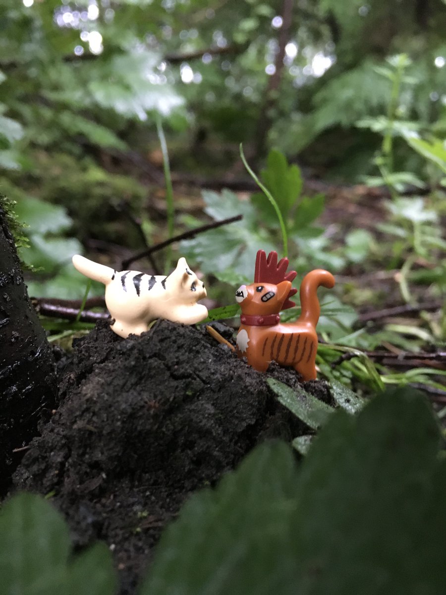 Flyingcloudkity's tweet photo. #CatkinsAdventures series 3 Part 6/6 https://t.co/XDXHR7oxFD