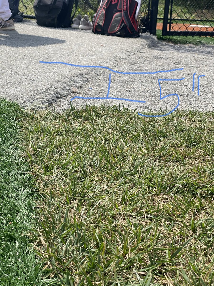 Mark Armstrong tweet media