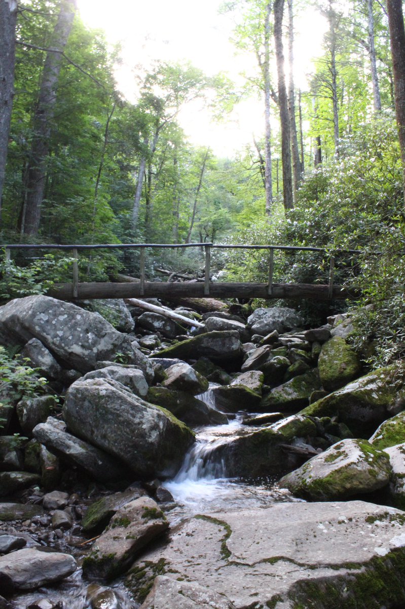 HawkK__'s tweet photo. Tennessee is alright. https://t.co/cxHHjEwVTn