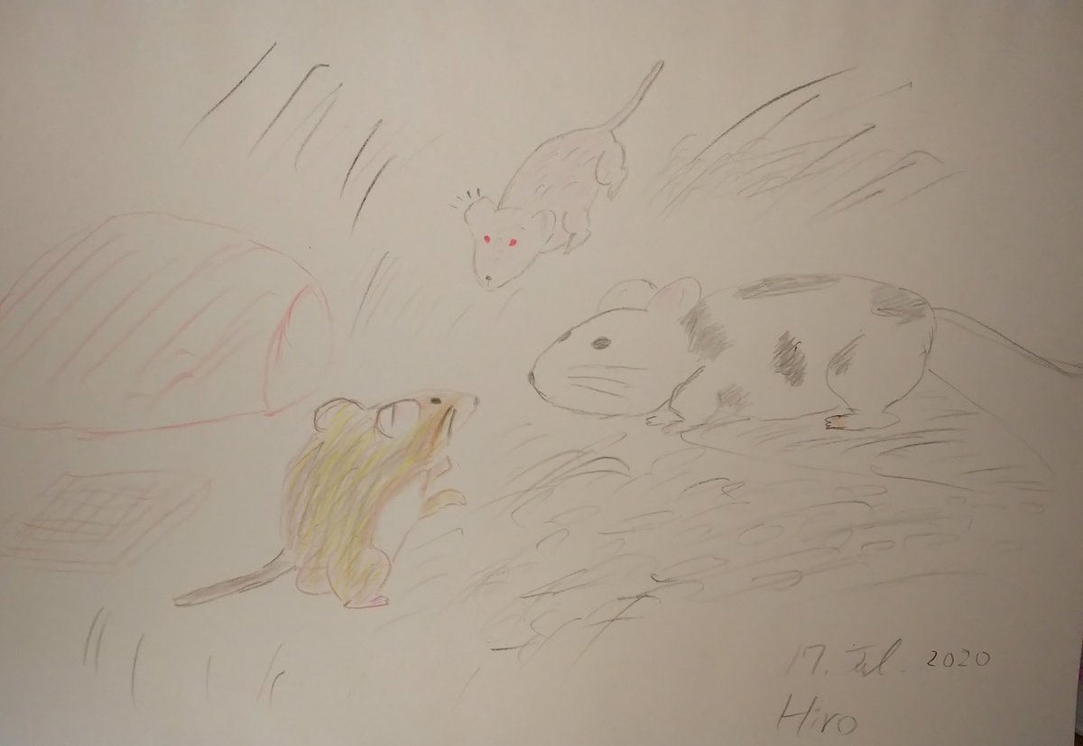 newhiro_s_wrap's tweet photo. 久々に画を描き始めました
#マウス
#マウス好きと繋がりたい
#JF1
#MSM
#BALB/c nu/nu
#BALB_nude
#憧れの香取慎吾さん
#私も画家になりたい https://t.co/CXzyqduokn