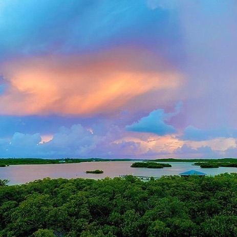 BahamasMarinas's tweet photo. Happy #fanfotofriday! Who’s ready for some natural beauty of Eleuthera?
Photo by @oceandazeeleuthera
#bahamas #bahamasboating #bahamasyachting #beaches #bahamasbeaches #bahamasfishing #bahamassportfishing #bahamasmarinas #itsbetterinthebahamas #itsbe… https://t.co/2Lde6MN3qx https://t.co/8ODh3byf6c