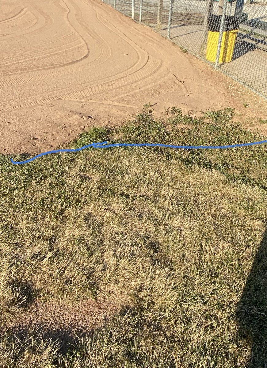 Mark Armstrong tweet media