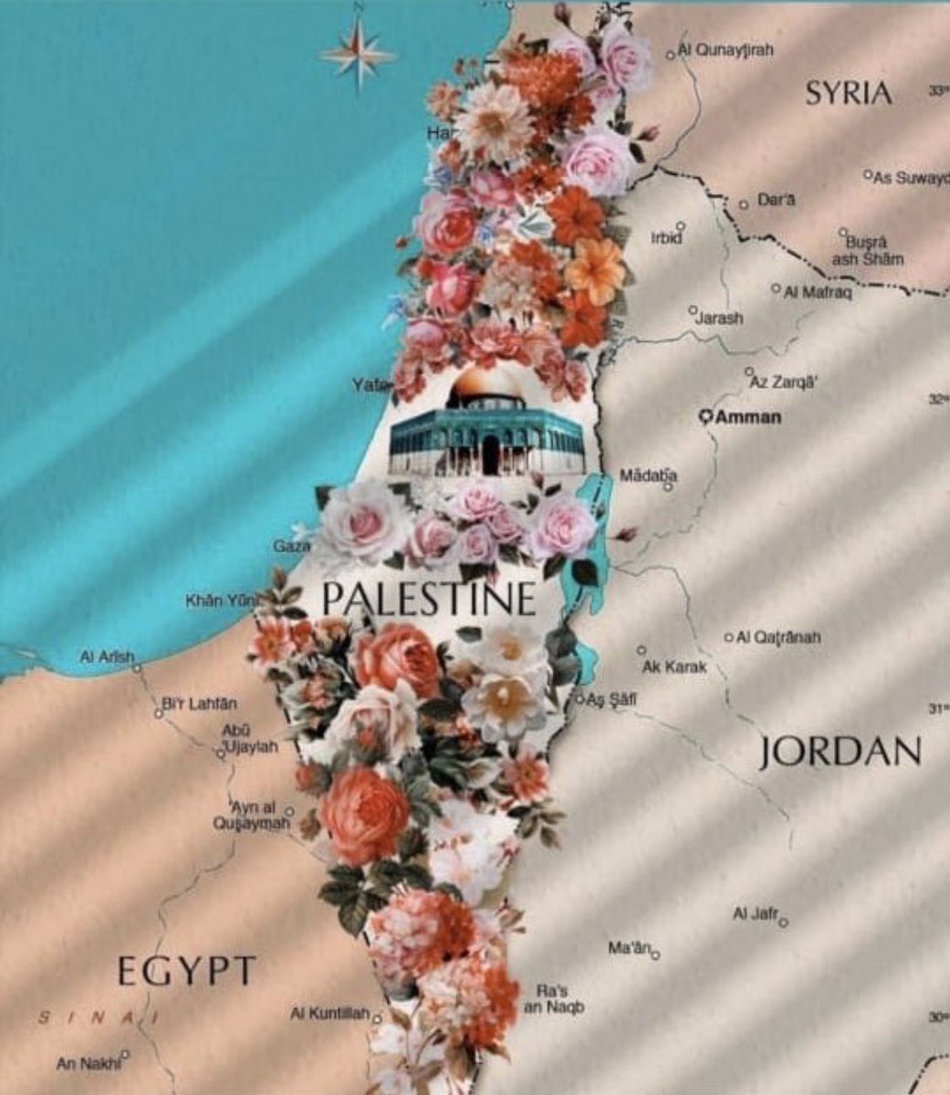 OlaAlfares tweet picture