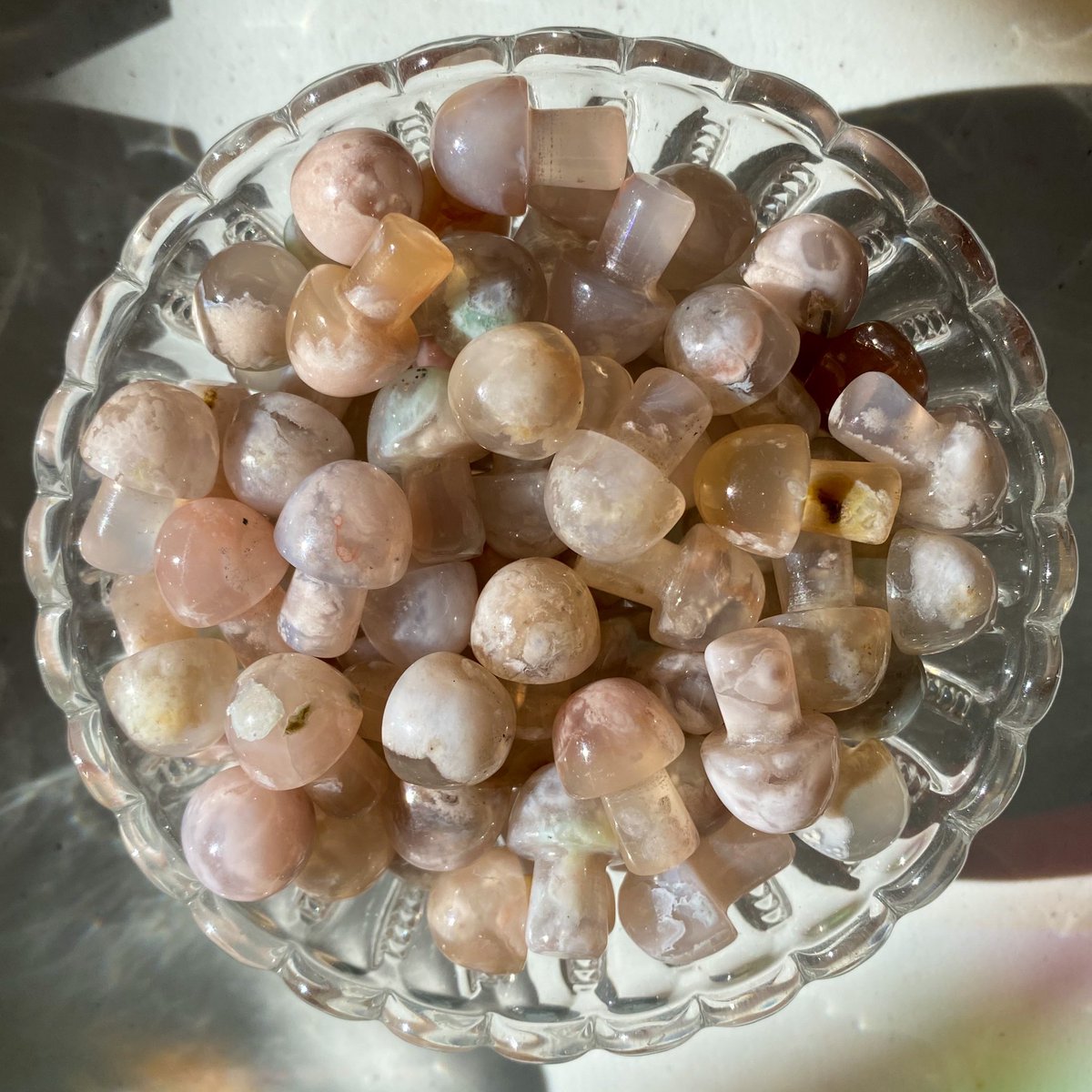 LiveeintheLight's tweet photo. flash giveaway 💫

rt this post &amp; follow me to enter to win a flower agate mushroom 🍄 get an extra entry if you rt my pinned tweet 🦋 will be choosing 3 winners! ends in 24 hours 🌿 https://t.co/nVcH6S3KUr