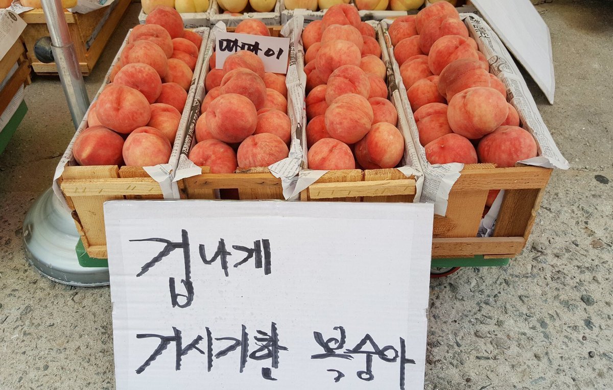 JCSL_251122's tweet photo. 겁나게 거시기한 복숭아
손가락으로 복숭아 누르지 마세요
초인종이 아닙니다 https://t.co/9Ev7XAwHRZ