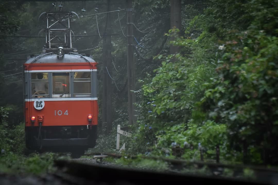 JapansWonders's tweet photo. Repost: castella_insta https://t.co/71uO4jNm7J

#japan #日本 #hakone #箱根 #japanesetrain #japaneseaesthetic #japanbeauty #beautyjapan #japanwonder #japantravel #traveljapan #japanculture #japanlovers #japanlover #japanlandscape https://t.co/7warjl9vdf