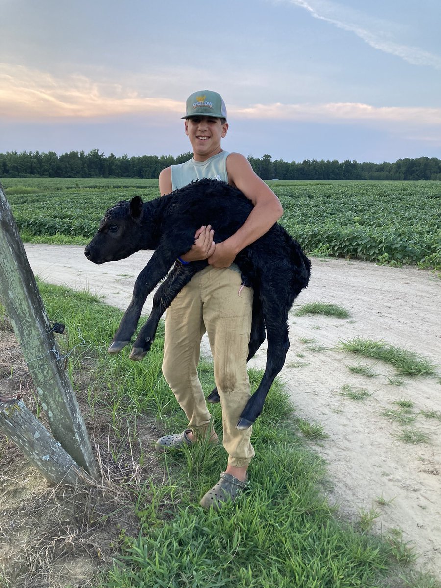 aschaub12's tweet photo. New life...new hope! #simplelife #farmlife https://t.co/j8lErYaCYf
