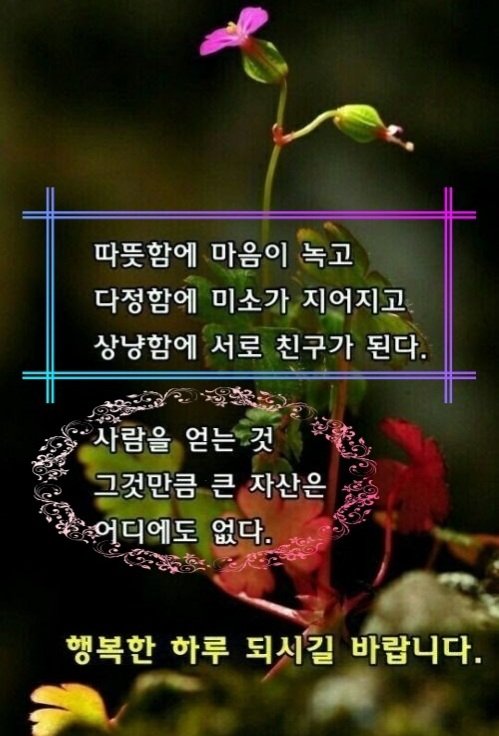 세상은 육체와 같고 정의는 그 육체에 깃든 영혼과 같다.ᆢ토마스 부룩스.// 소자 양 요한 💕