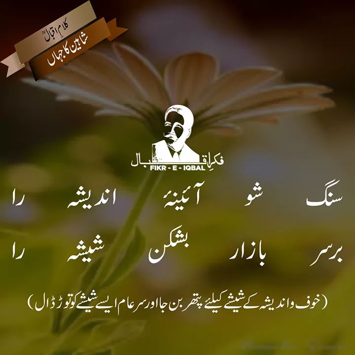 FizzaUrooj2's tweet photo. #allamaiqbal #fikreiqbal #easternpoetry #poetry #eastpoet #iqbalpakistan https://t.co/yKBpyjpsVP