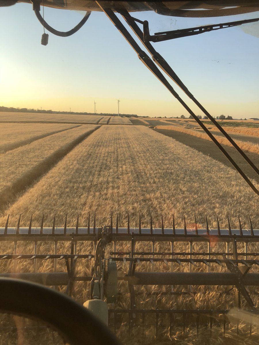 Trevshep3's tweet photo. Another sunset in my fav spot #wheatharvest2020 https://t.co/86WMTyJnKC