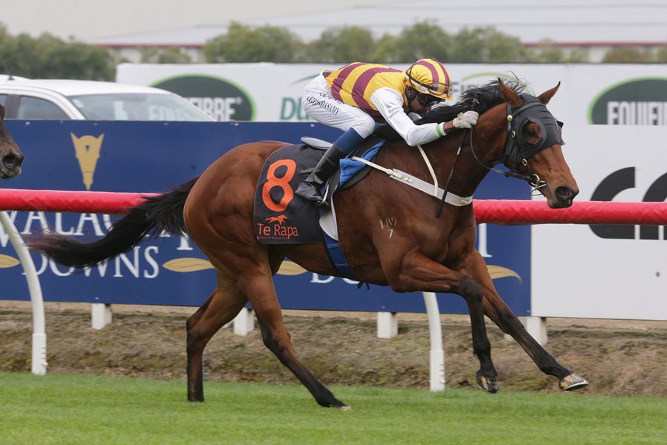 WestburyStud's tweet photo. Impressive win by #ReliableMan 2YO #DeLaTerre to make it two in a row &amp; take her record to 3/7 for the season .... a sister to G1 performer #Aalaalune will now be set for the @KarakaChat NZ Filly of the Year in the new season #classyfilly https://t.co/rZGBcynW81