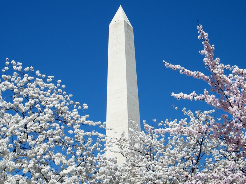 AderaStone's tweet photo. Here a few things you may not have known about the Washington Monument. https://t.co/iLNKTrbgrL https://t.co/bLQ7VRgbtY