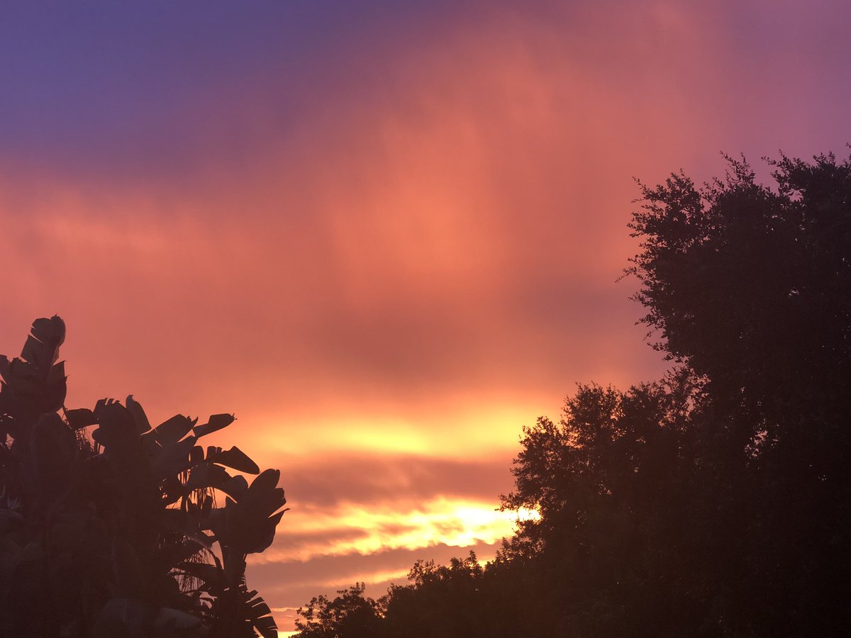 GlennSm44655443's tweet photo. Bradenton sunset #floridaviews @JenCarfagno https://t.co/8wvVdS4bYS