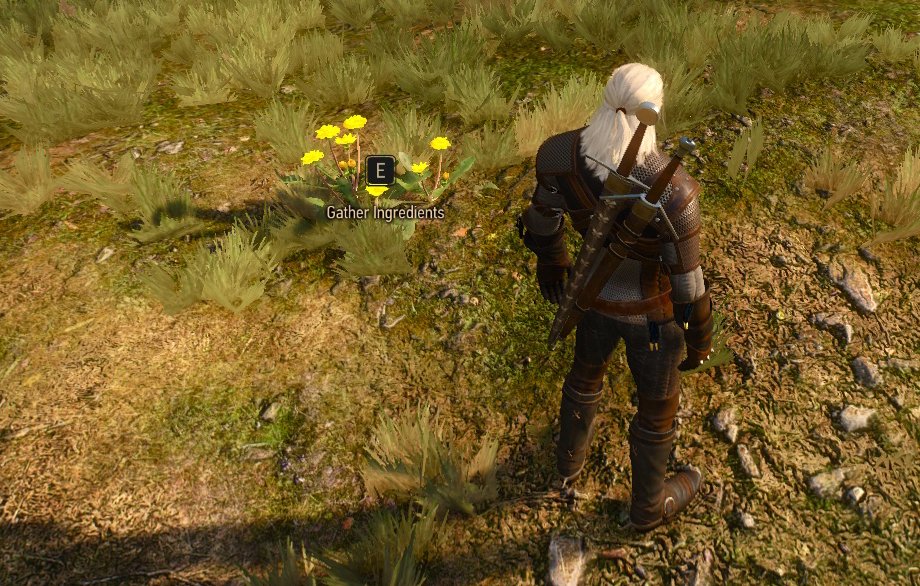  #TheWitcher3 plants and herbs in real life: a thread 