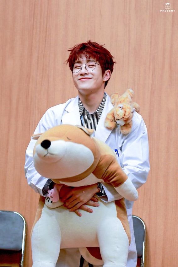 iwantcornedbeef's tweet photo. Jinjin with plushies is such a breathtaking sight. https://t.co/WSdNNWTIBP