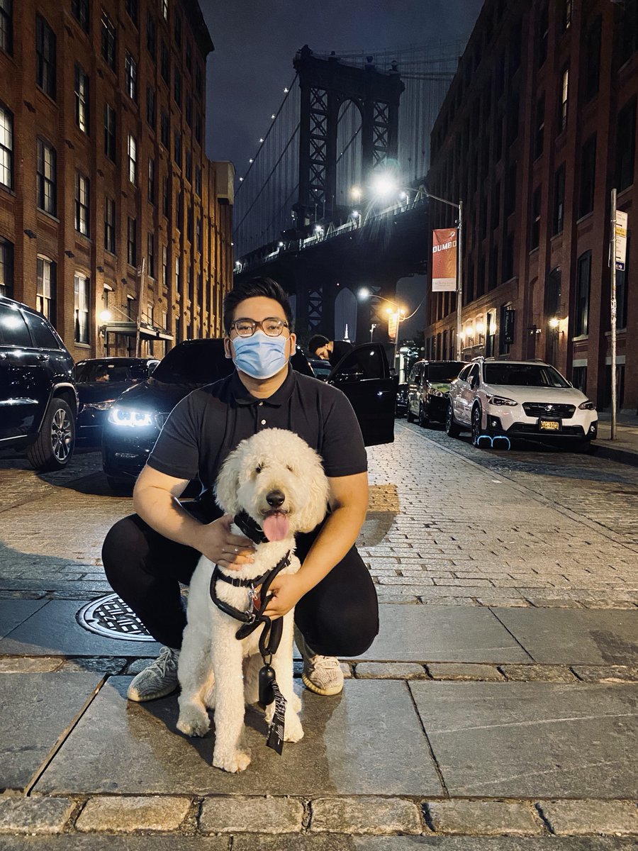 KPDizonn's tweet photo. Maxie 🐾 https://t.co/59UDWq7AR1