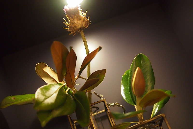 参創ハウテック