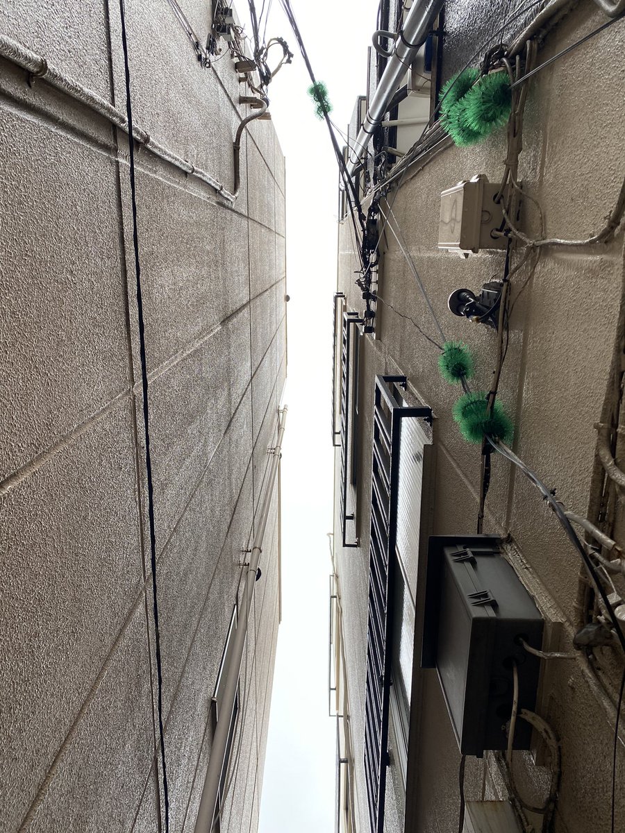 MEDIUM 清澄白河 tweet media