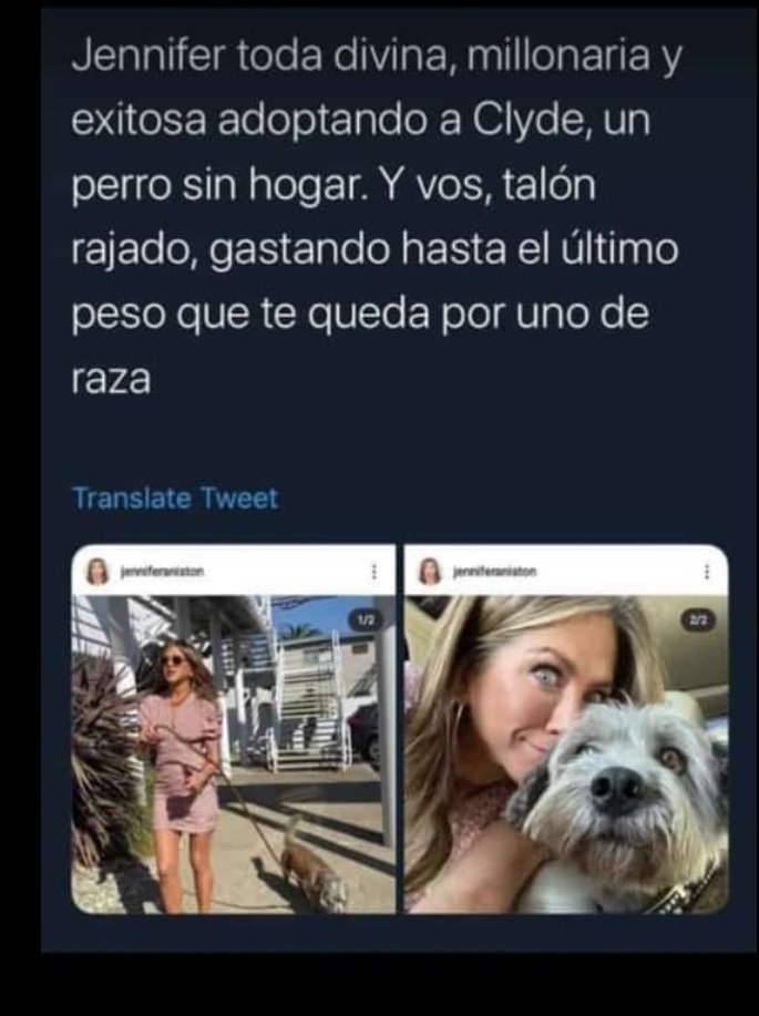 Andreagomezmusical tweet media