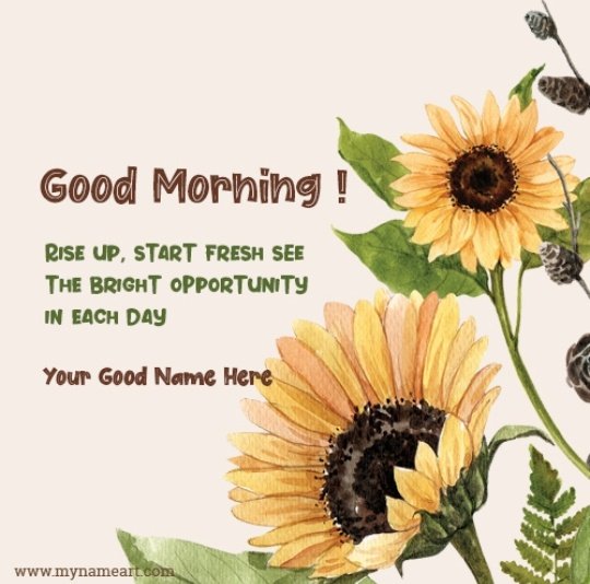 RajRani56689961's tweet photo. #GoodMorning #GoodMorningTwitterWorld #GoodThoughts #GoodHopes #Goodvibes #HaveANiceDay
🙏🙏🙏🙏🙏🙏🙏🙏🙏🙏🙏🙏 https://t.co/lXVME2Oyqk