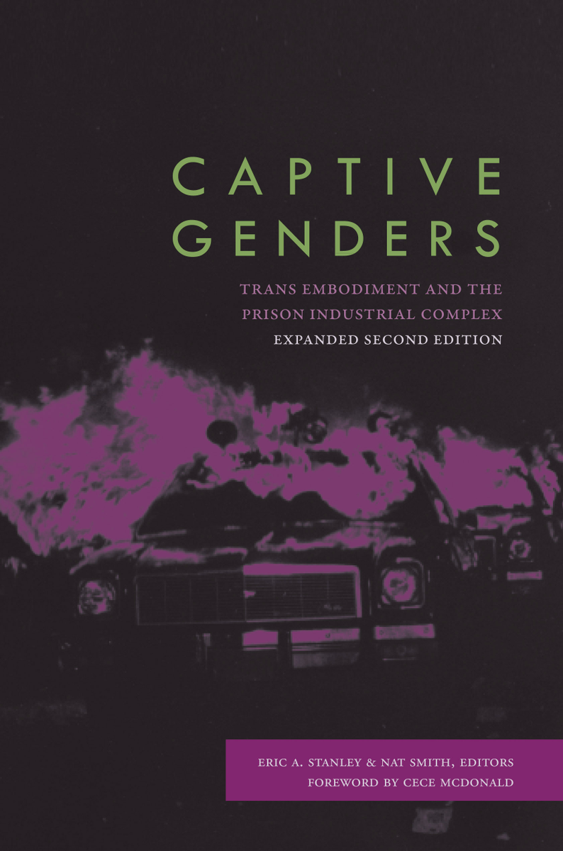 "Blackness and the Pitfalls of Anthropocene Ethics"By Axelle Karera  https://www.jstor.org/stable/10.5325/critphilrace.7.1.0032?seq=1
