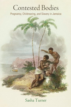 "Blackness and the Pitfalls of Anthropocene Ethics"By Axelle Karera  https://www.jstor.org/stable/10.5325/critphilrace.7.1.0032?seq=1