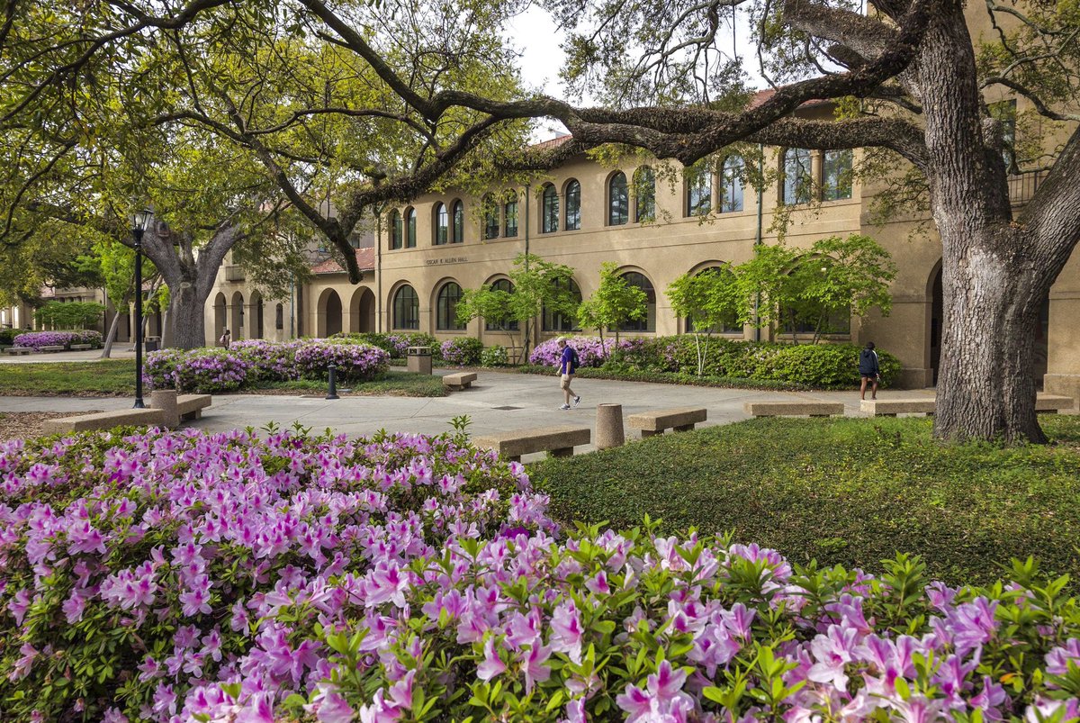 Louisiana State University • Baton Rouge, Louisiana