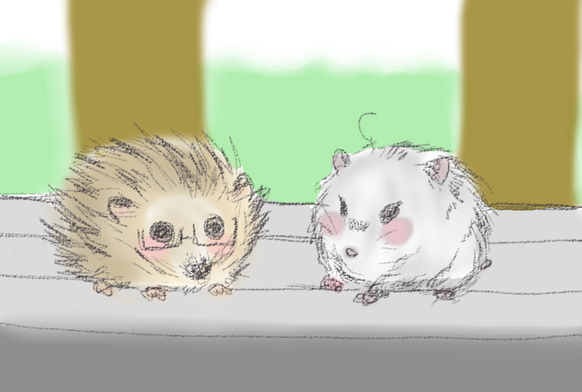 Kau_Universe's tweet photo. #cute #digitalart #hamster #hedgedog #artwork #myart #digitaldrawing #digitalpainting https://t.co/npo9hgARMW