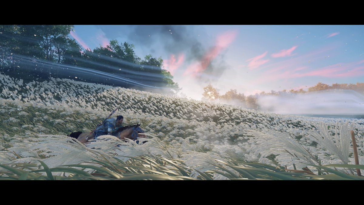 addamthecomic's tweet photo. #GhostOfTsushima #PS4share https://t.co/n0QFmrwT8q