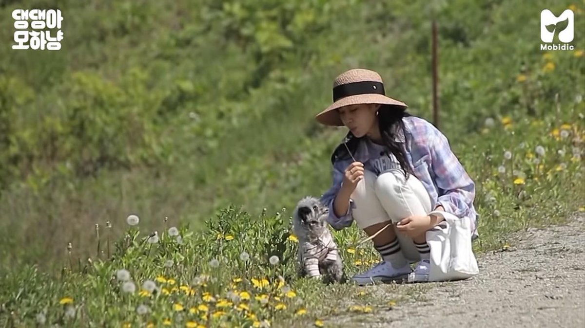 YuriBraziI's tweet image. [#YULSTAGRAM] 17.07.20 | Atualização de Yuri em seu Instagram. 

"DooE-yah 🐶 #DooE"