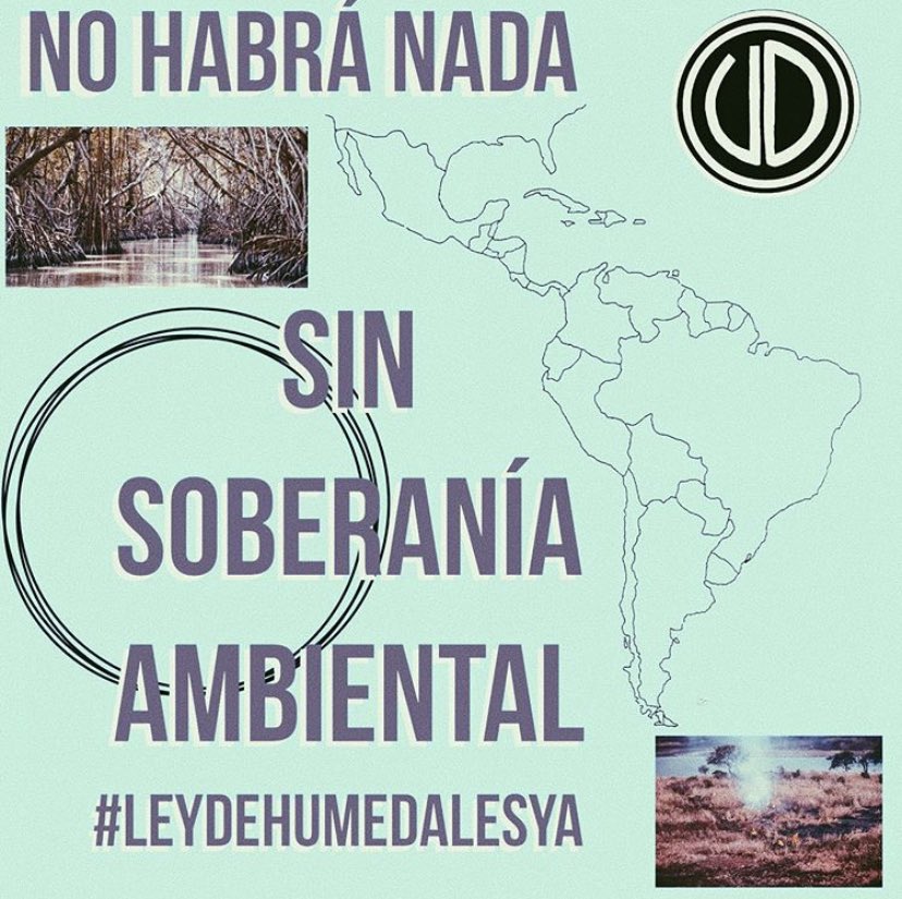 udesobediente's tweet photo. Que es un humedal? 
Por que es tan importante cuidarlos?
Por que no hablamos lo suficiente de soberanía ambiental como lucha social y politica? 
Aca y mas abajo van unas placas informativas sobre por que necesitamos #LeyDeHumedalesYa https://t.co/mJcKf7ByAq